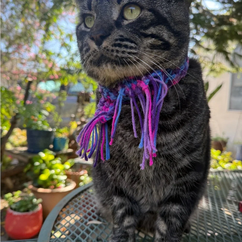 2 for 1 Cozy Cat / dog Scarf